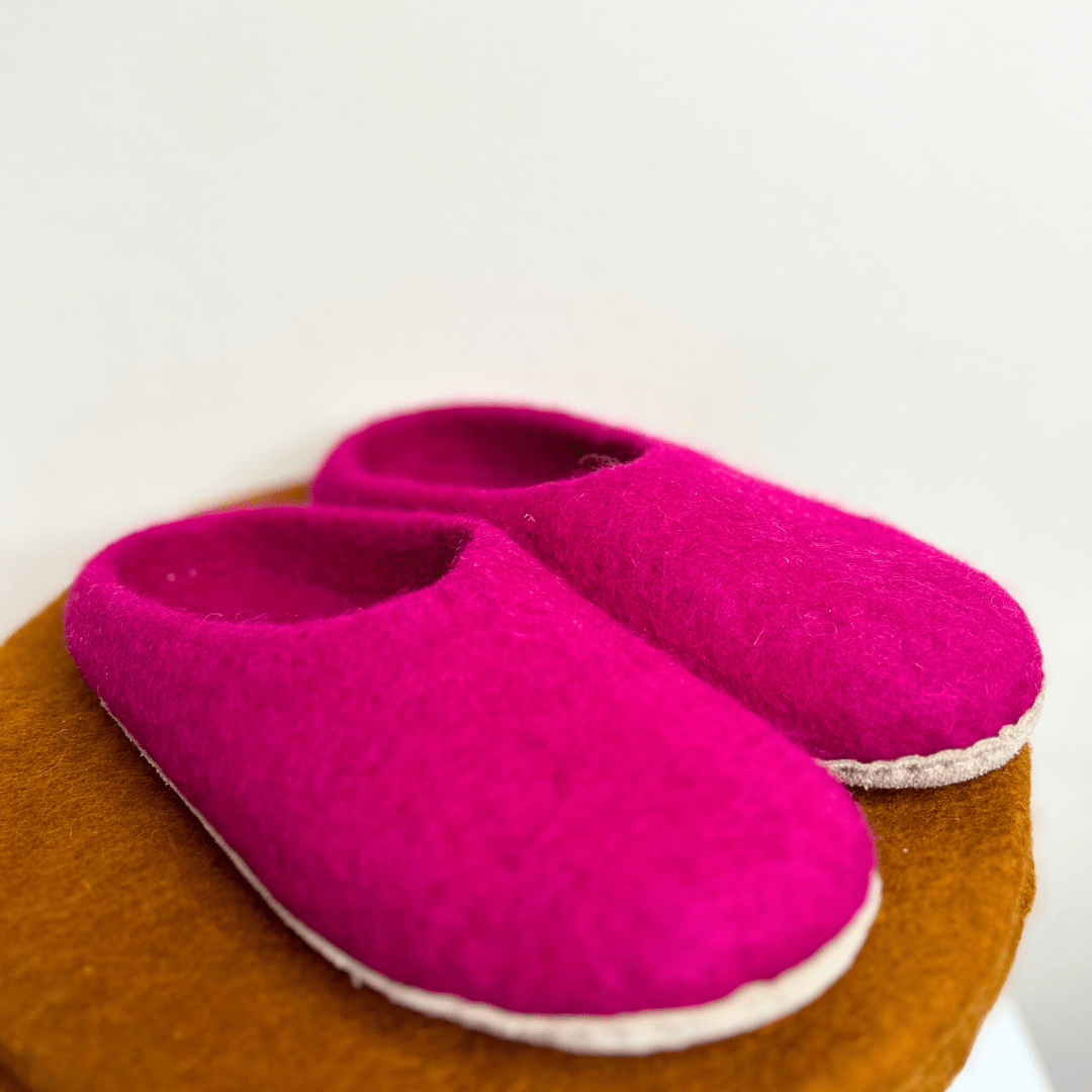 Felted good Wool Slippers