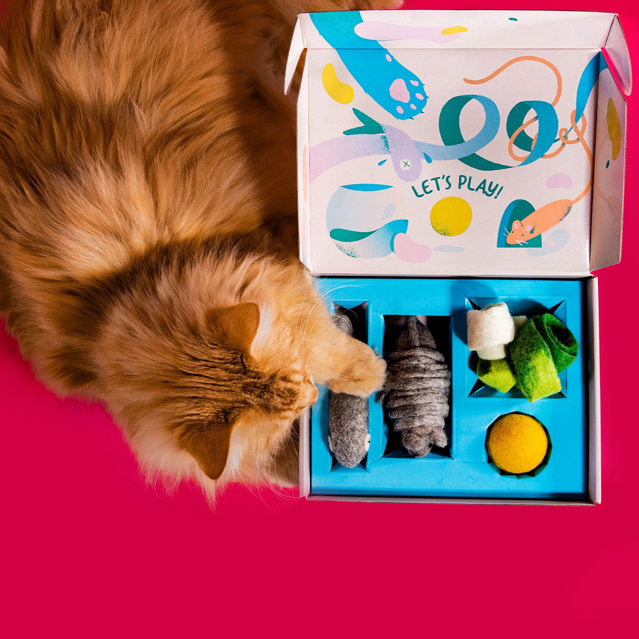 Cat toy shop subscription box