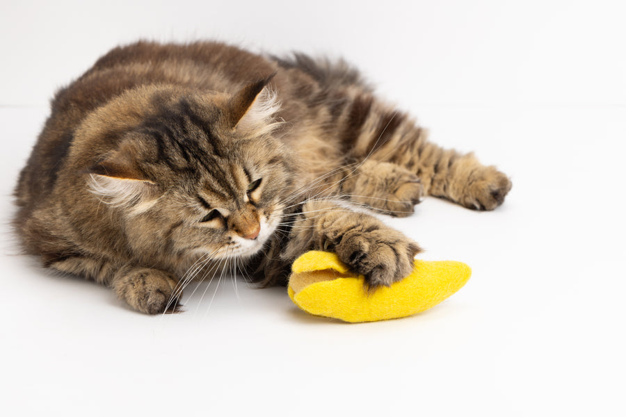 Banana Split - Felt Cat Toy