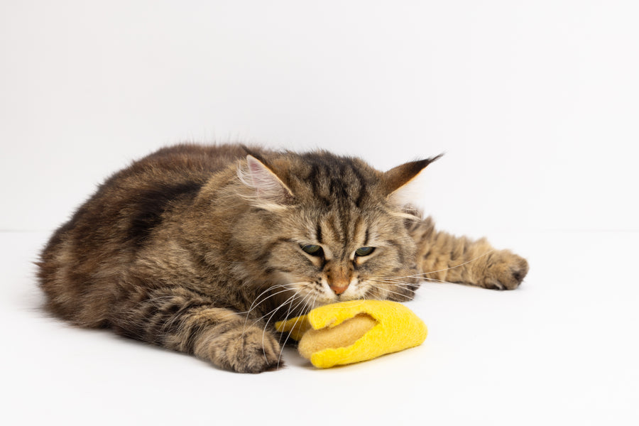 Banana Split - Felt Cat Toy