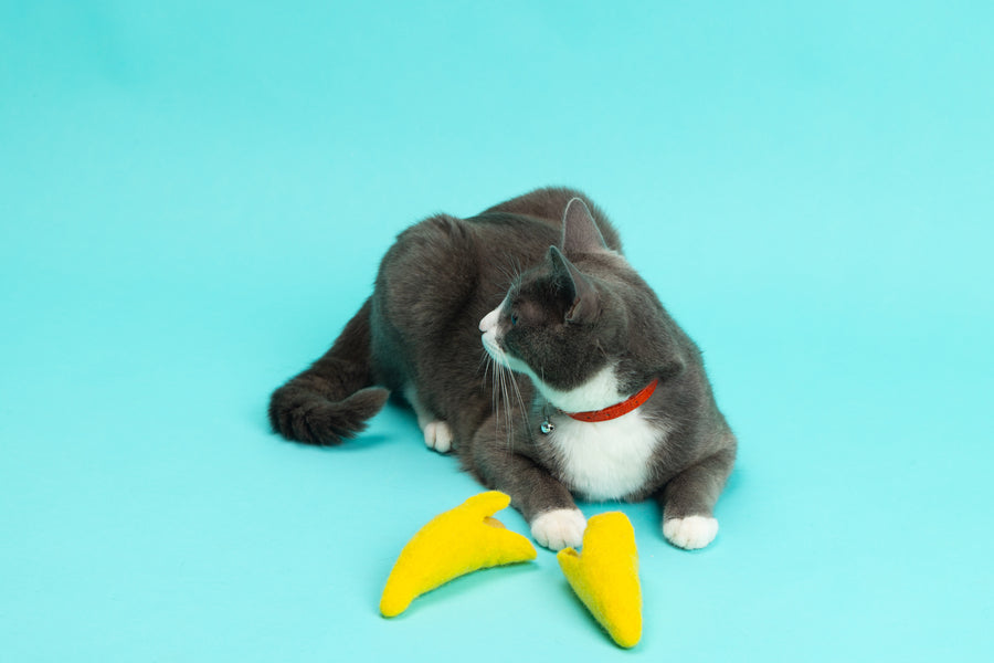 Banana Split - Felt Cat Toy