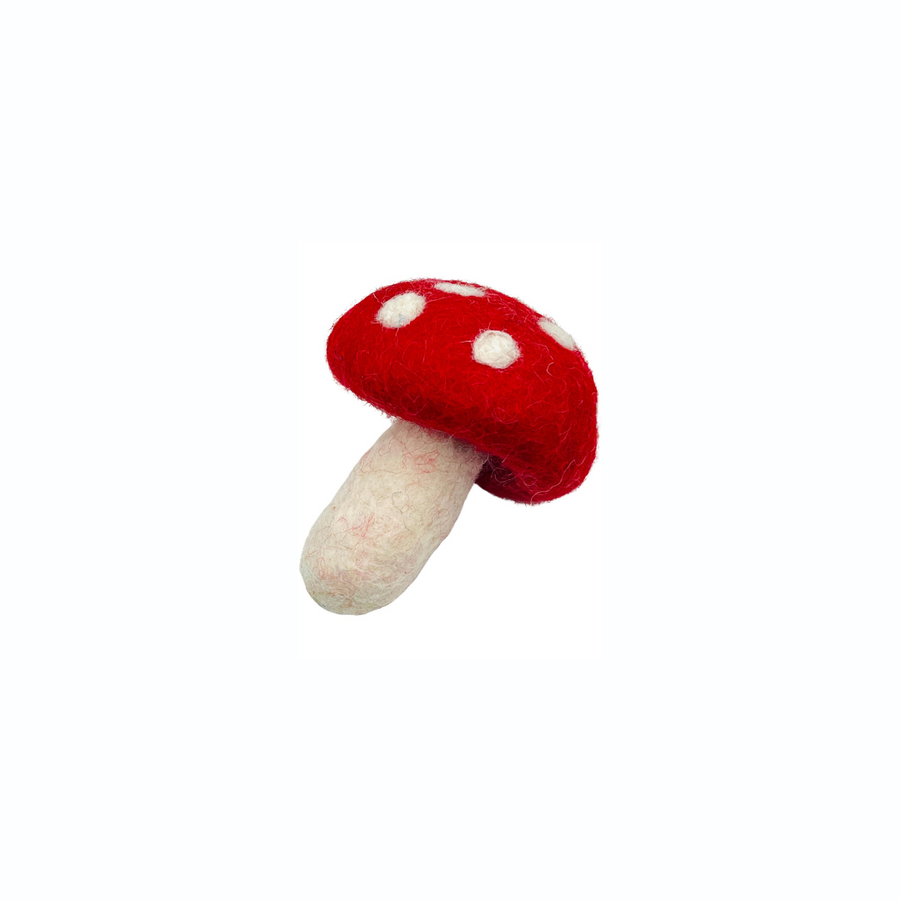 The Magical Mushroom